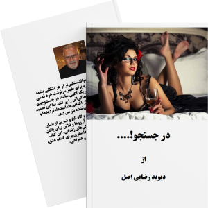 در جستجو (Ebook)